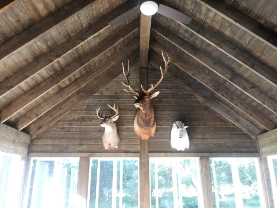 semi-transparent stained used on a the season porch's walls and ceiling. Preview Image 3