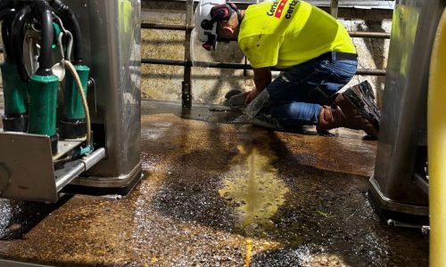 Gill Dairy Case Study During Photo