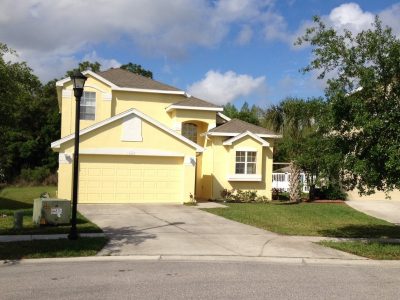 palm harbor house painters
