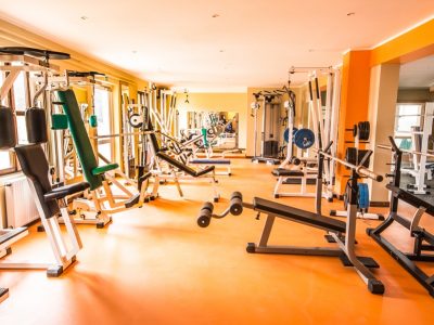 palm harbor gym painters