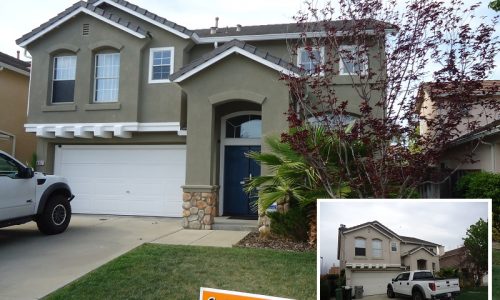 Brown and Crisp White