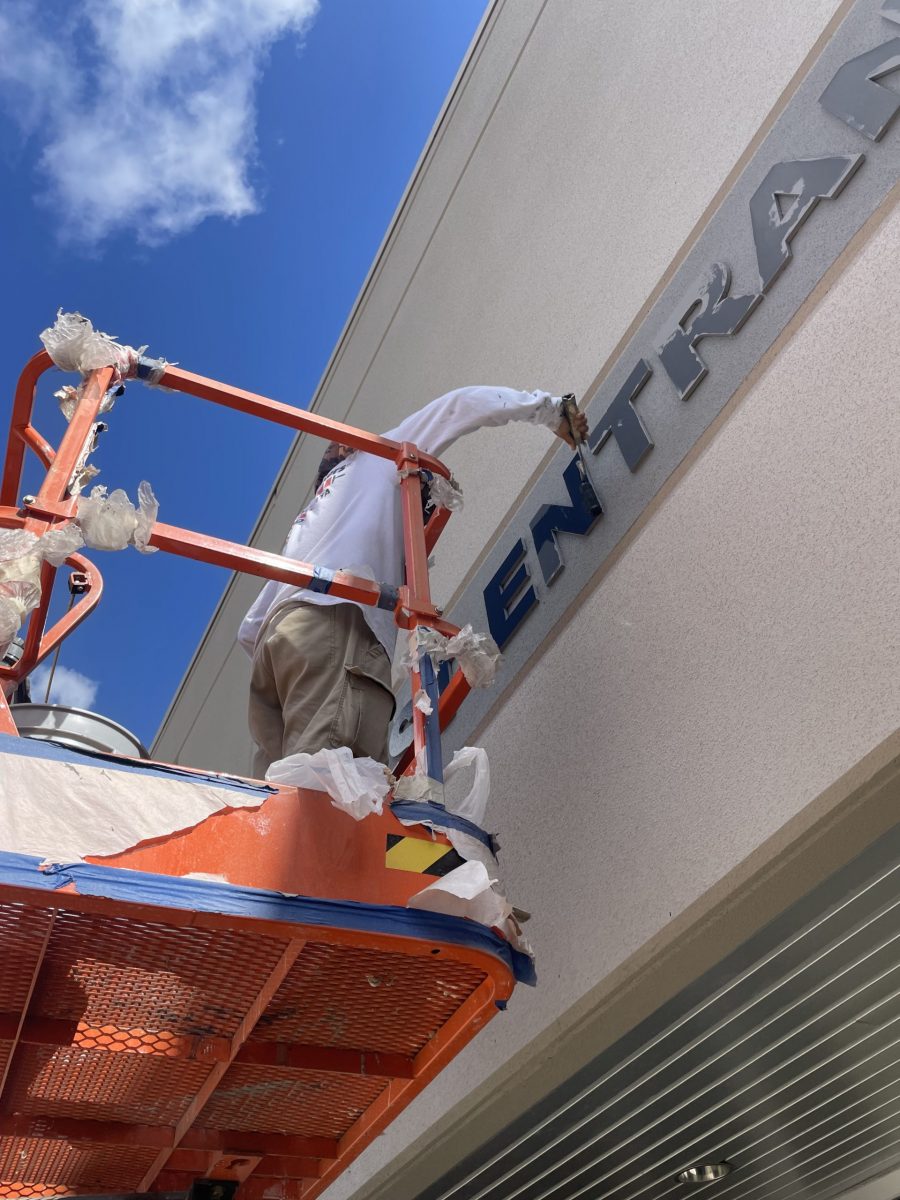 crane operated painter in houston Preview Image 16