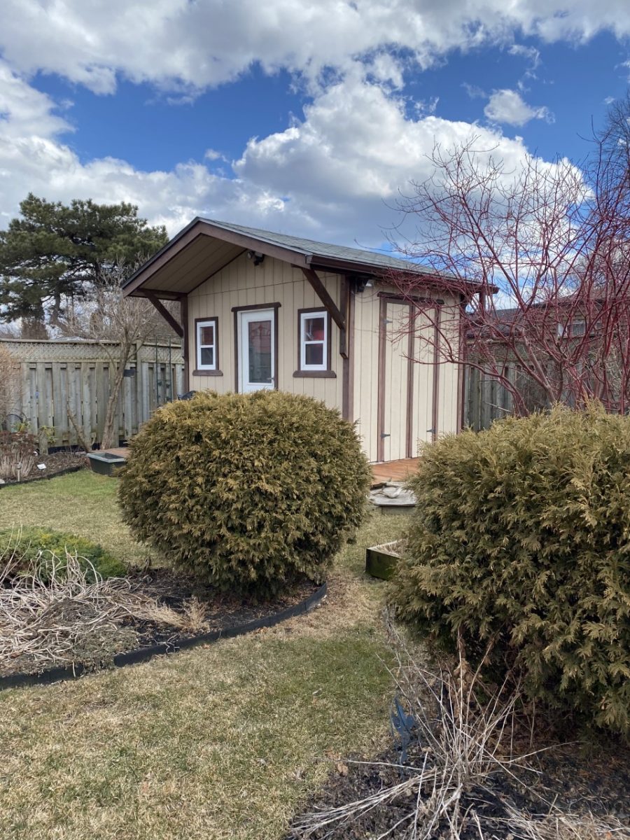 Downtown Whitby shed before Preview Image 1