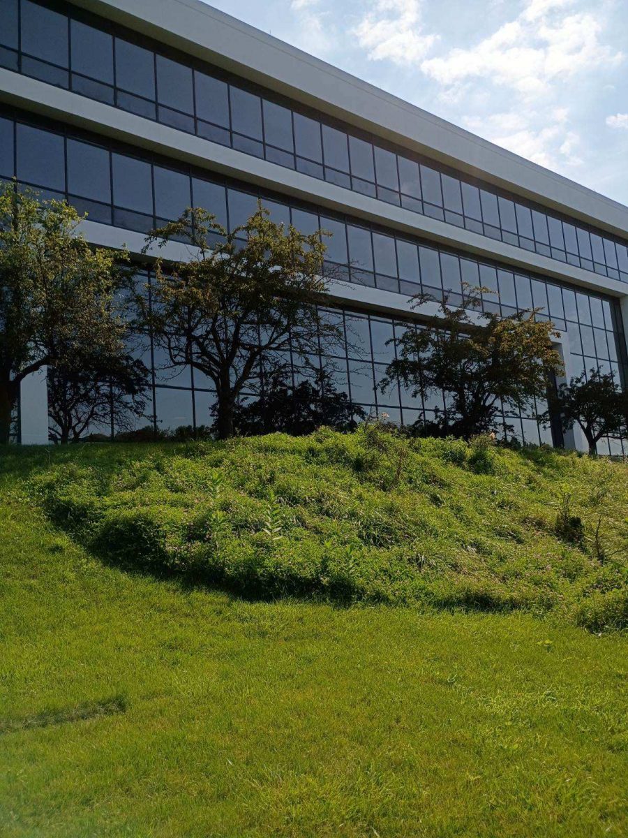 Office Painting Preview Image 2