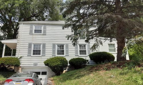 Mt. Lebanon Painting