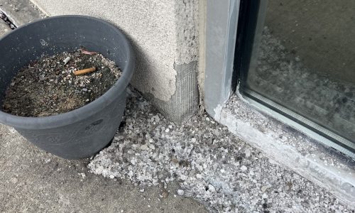 Cracking Near Entryway