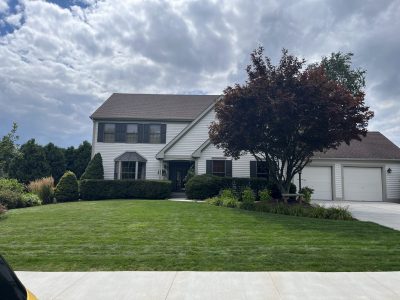 Exterior House Painting