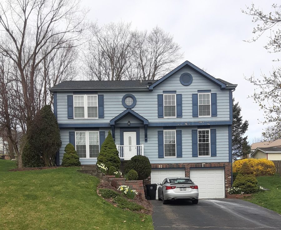 Exterior painters Preview Image 3