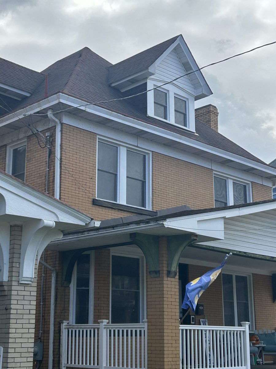 brick house exterior before repaint Preview Image 5