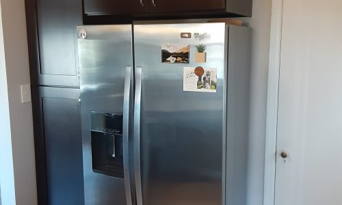 Cabinet Painting Before