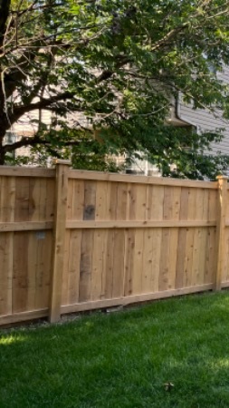 Fence before staining