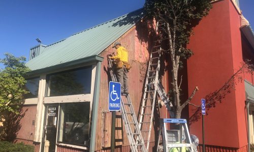 Replacing Damaged Siding Before Painting