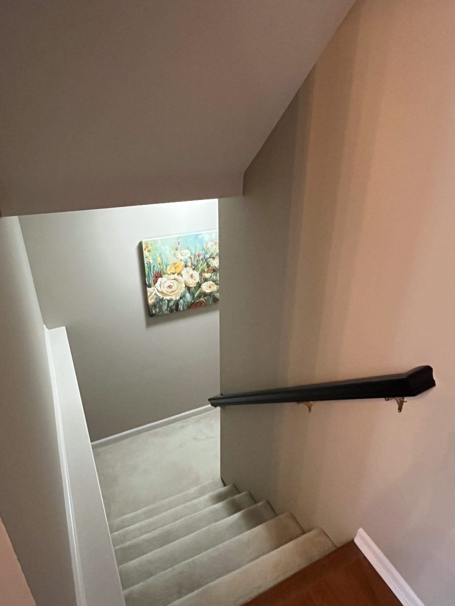 stair rail painting after Preview Image 3