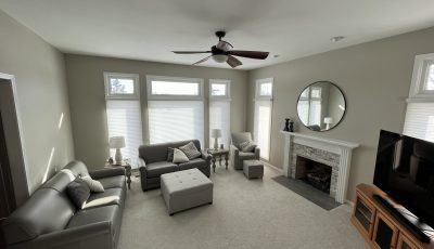 Living Room Painting