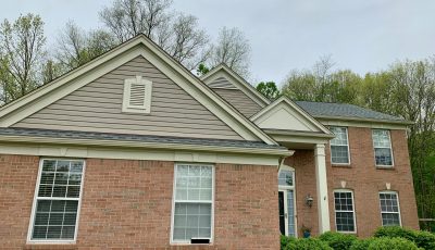 Vinyl siding painting