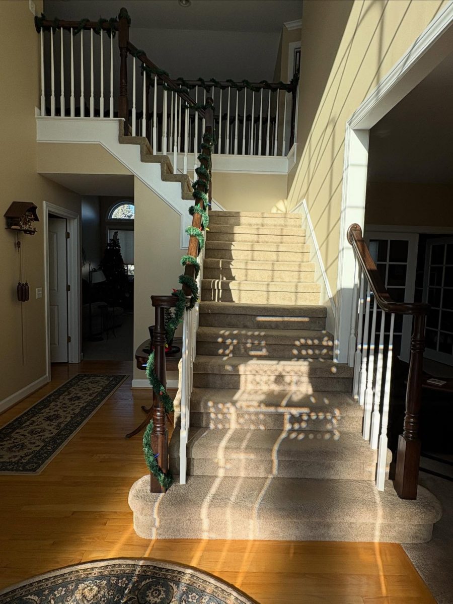 interior painting project