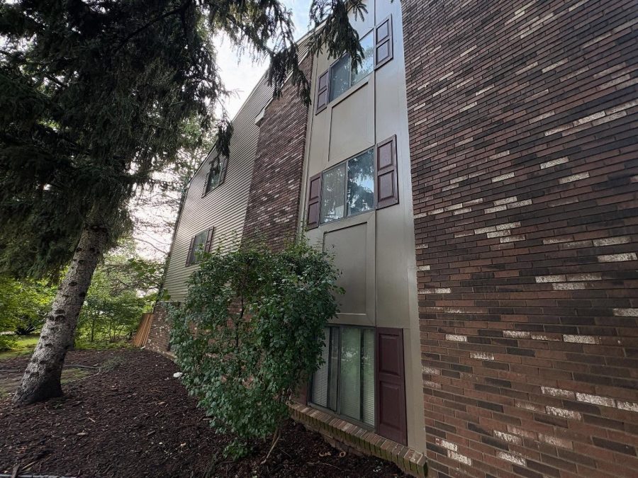 apartment painting transformation Preview Image 3