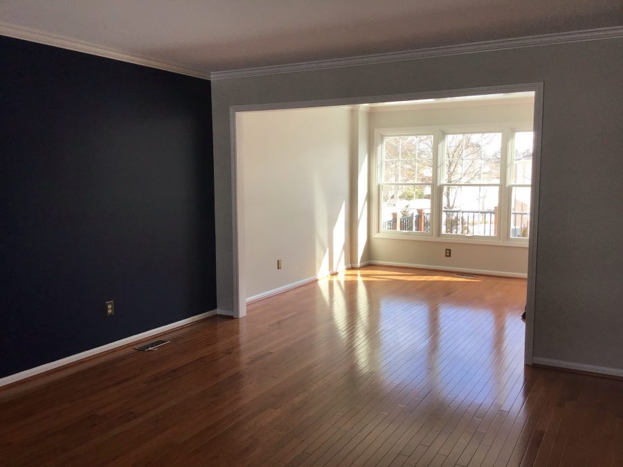 Window Repaint Preview Image 2