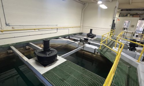 Before the Walls Were Updated