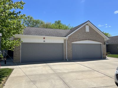 Garage Door Painting