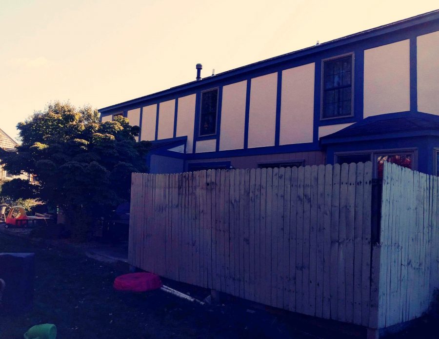 Back yard home surfaces painted Preview Image 6