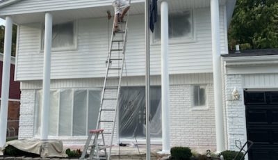 Painted Brick with White Siding