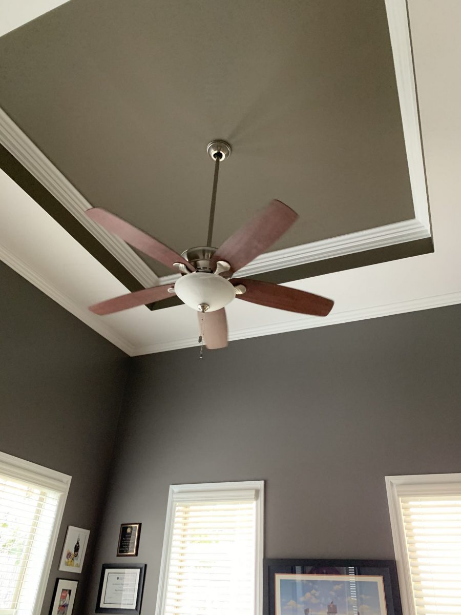 ceiling Preview Image 1