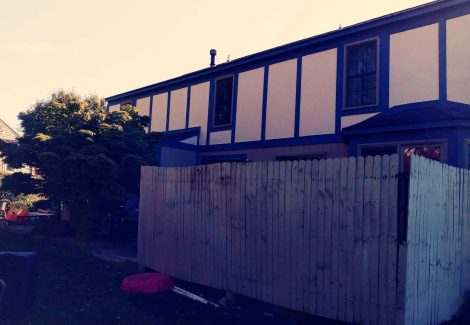 Back yard home surfaces painted