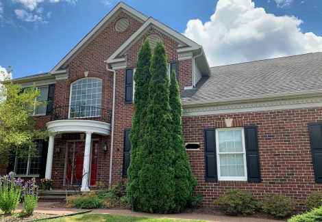 Shutter and trim repainting