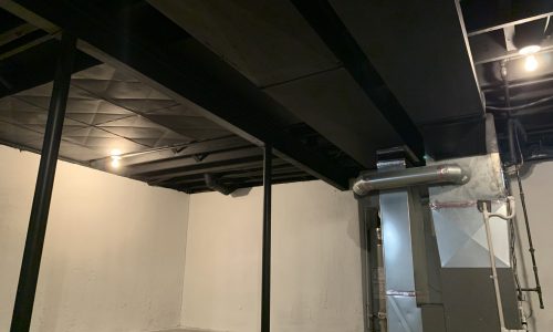Complete Basement Refresh