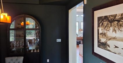Interior Color Drenching