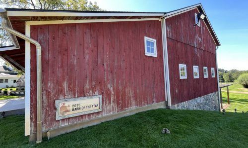 Weathered Wood in Need of Care