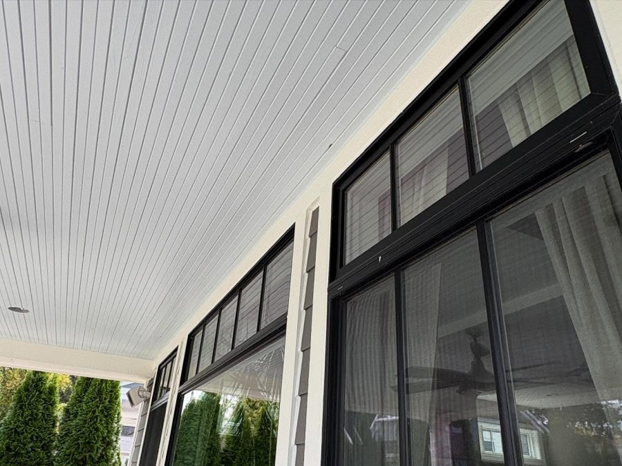 exterior paint Preview Image 4