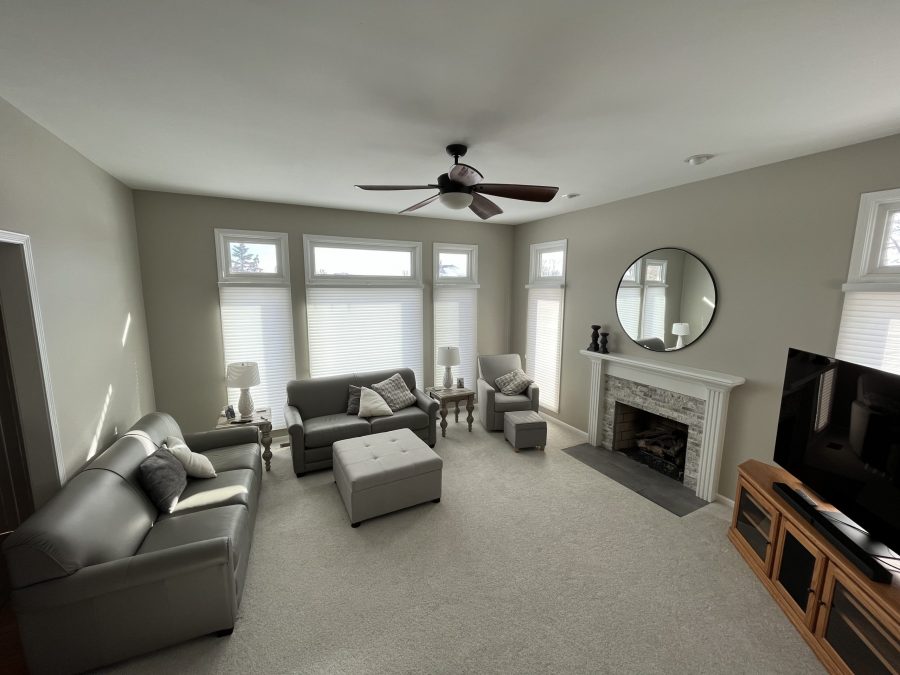 Living Room Painting