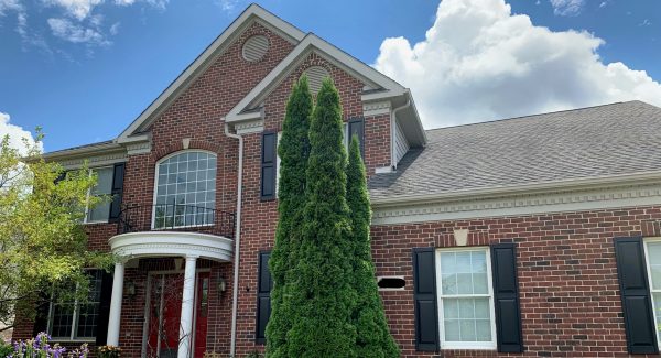 Shutter and trim repainting