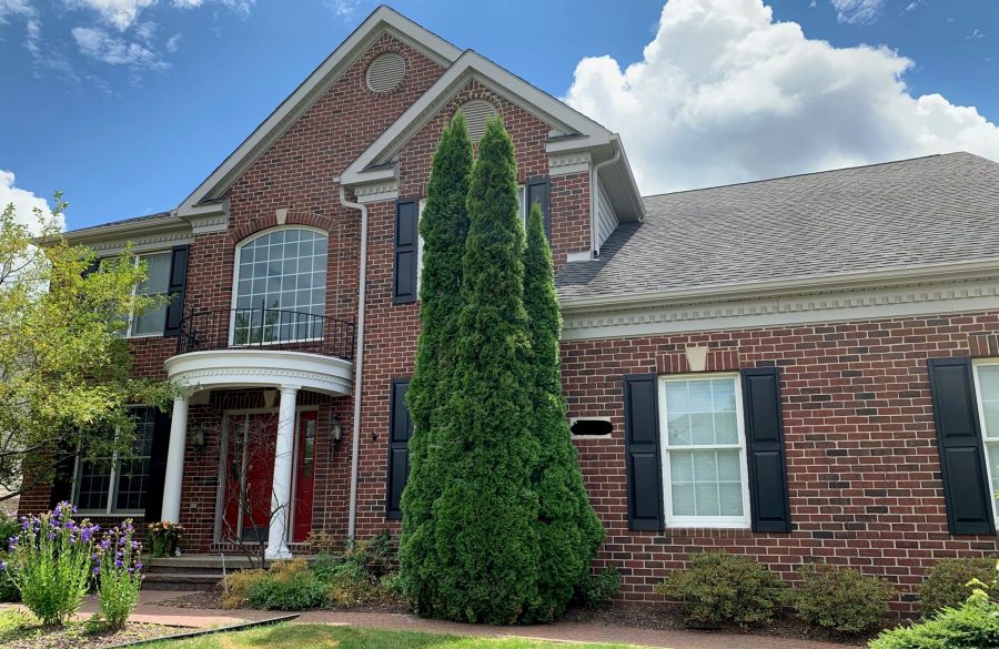 Shutter and trim repainting Preview Image 2