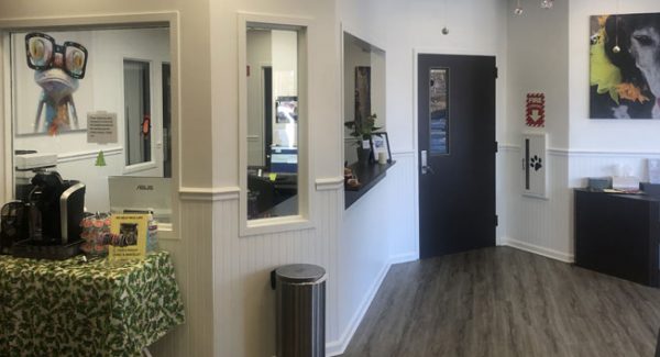 Best Commercial Veterinary Hospital Painters