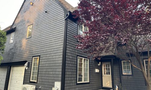 Gray Cedar Siding Painting