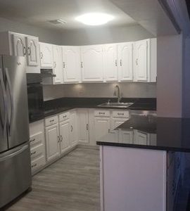 Kitchen Cabinets Project