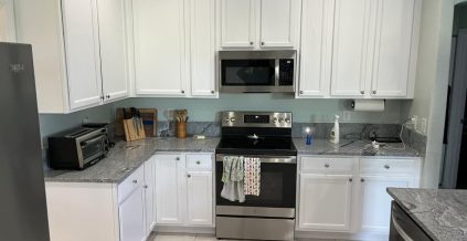 Kitchen Cabinet Painting