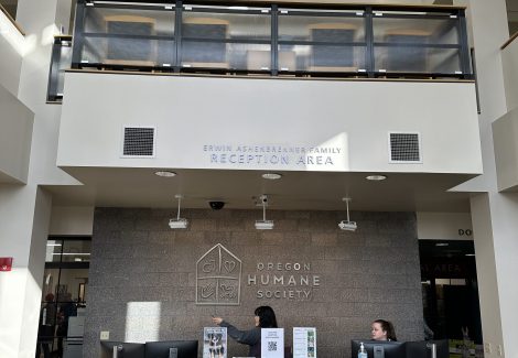 Oregon Humane Society's Main Lobby