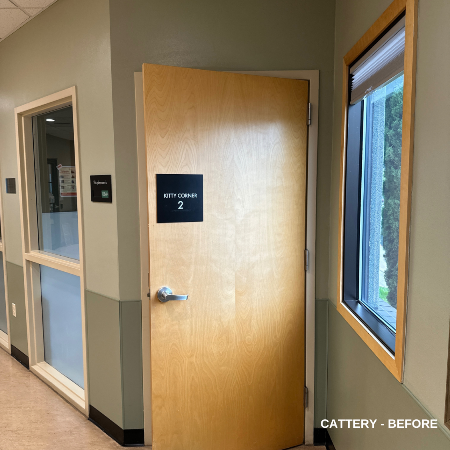 cattery - before Preview Image 9