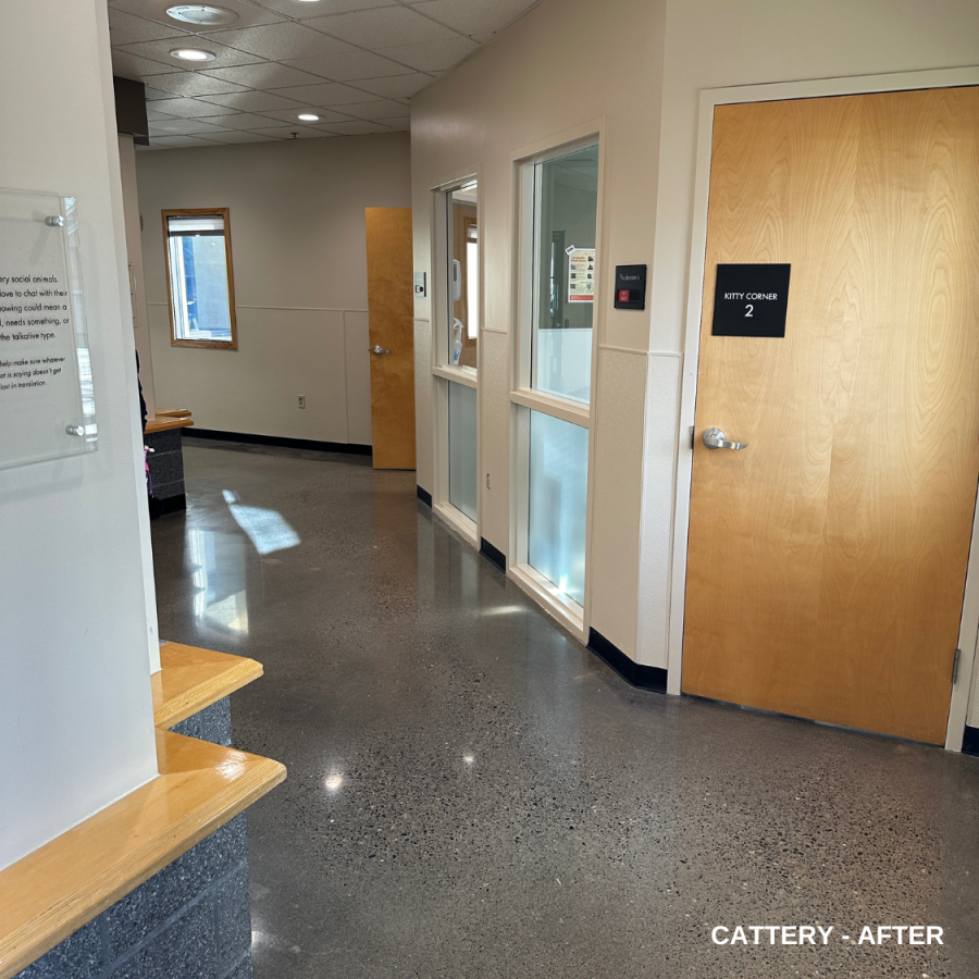 cattery - after Preview Image 10