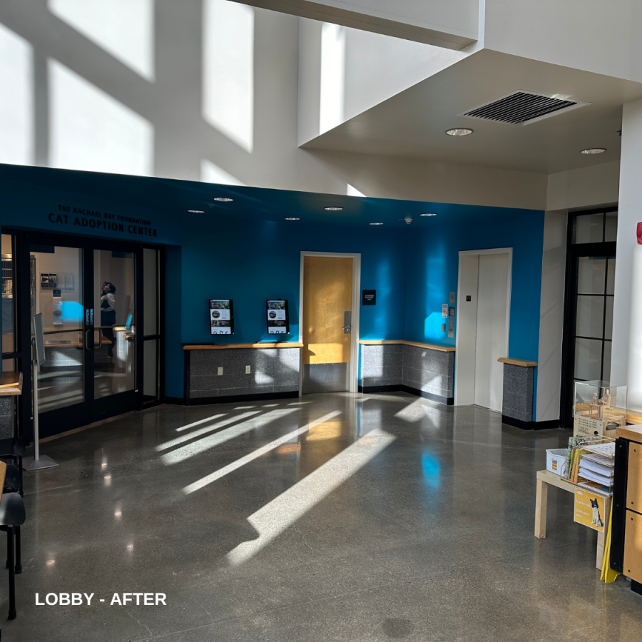 lobby area - after Preview Image 6