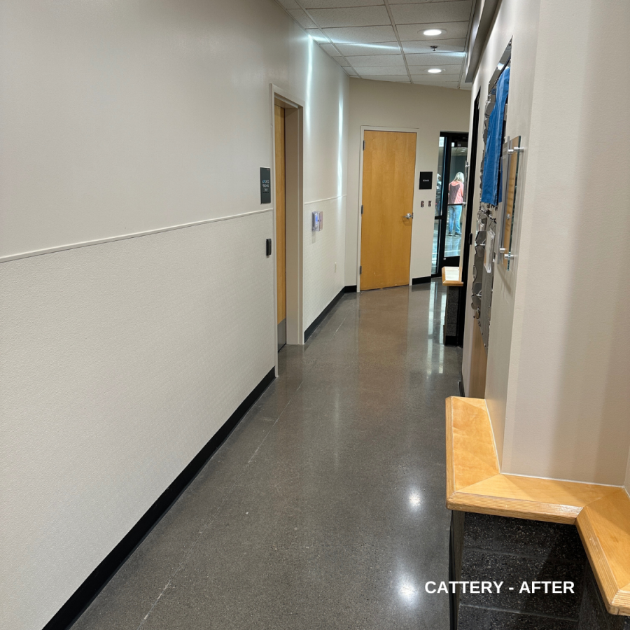 cattery - after Preview Image 8