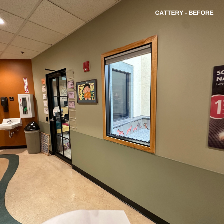 cattery - before Preview Image 7