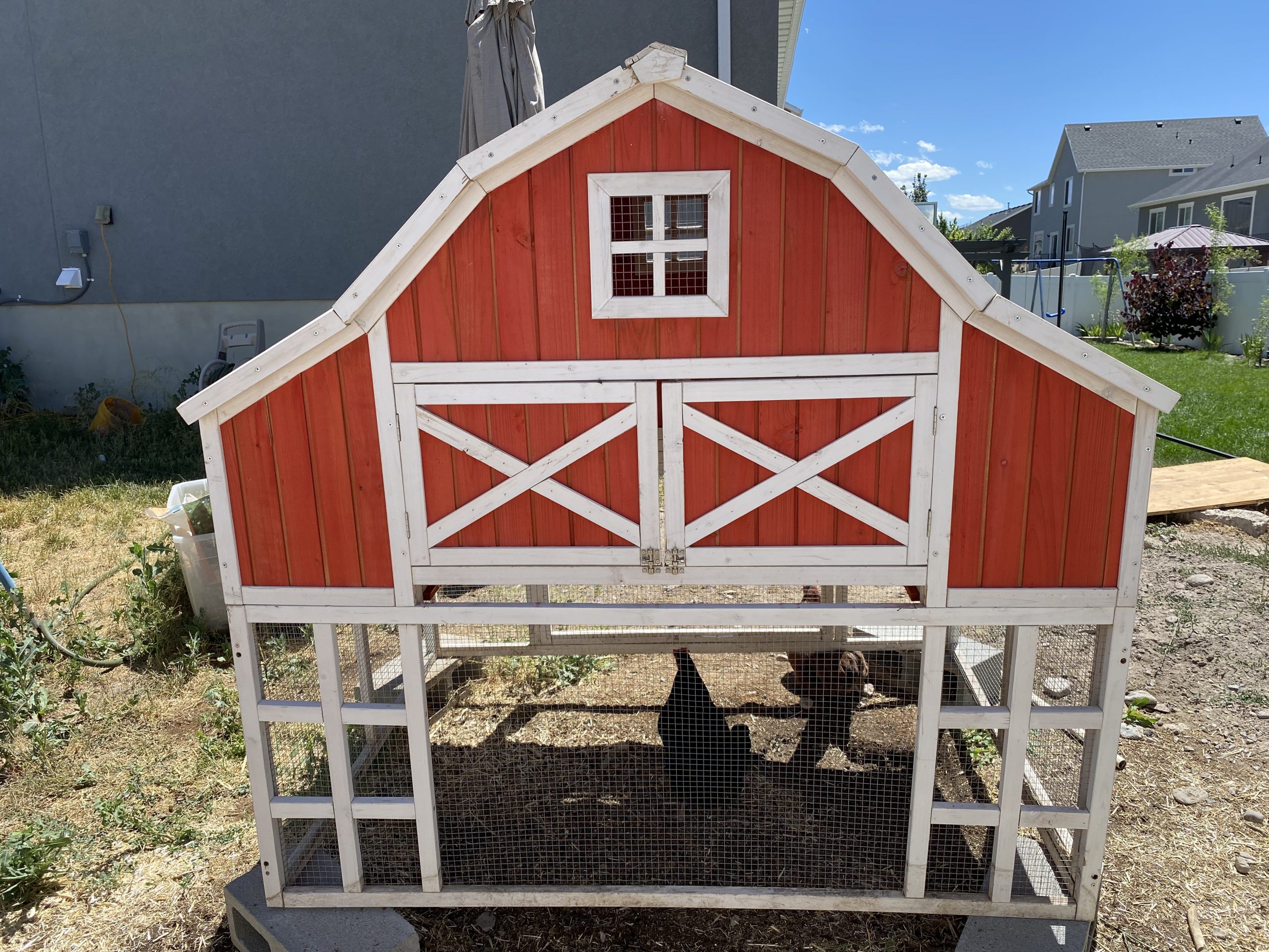 Chicken Coop Project in Provo, UT
