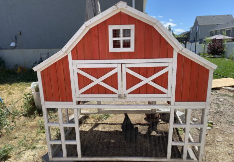Outdoor Chicken Coop Project in Provo, UT