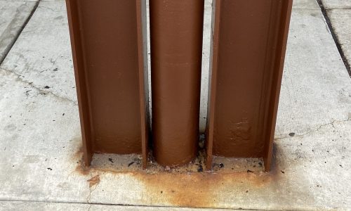 Trainer's Station Shopping Center - After