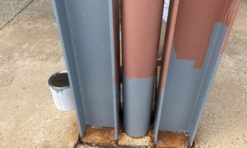 Trainer's Station Shopping Center - In Process